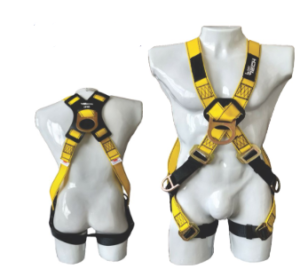 ARNES EN X - MULTIPROPOSITO
