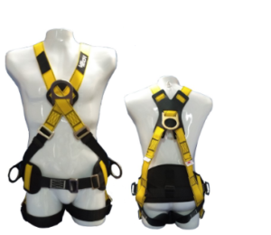 ARNES EN X - SOPORTE LUMBAR