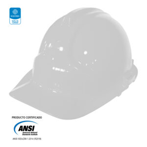 CASCO DE SEGURIDAD